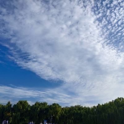 从零到英雄城市人游戏下载